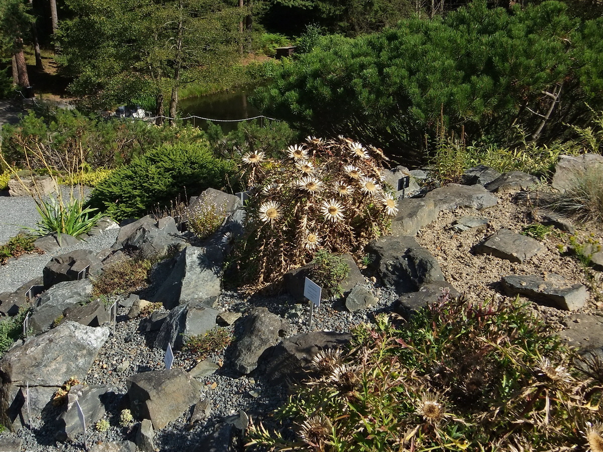 DSCF0534p_Bildgr��e �ndern