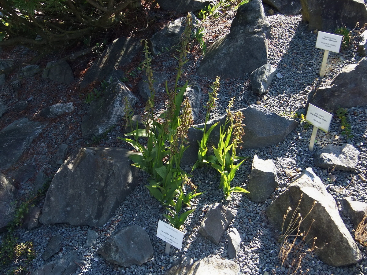 DSCF0535p_Bildgr��e �ndern