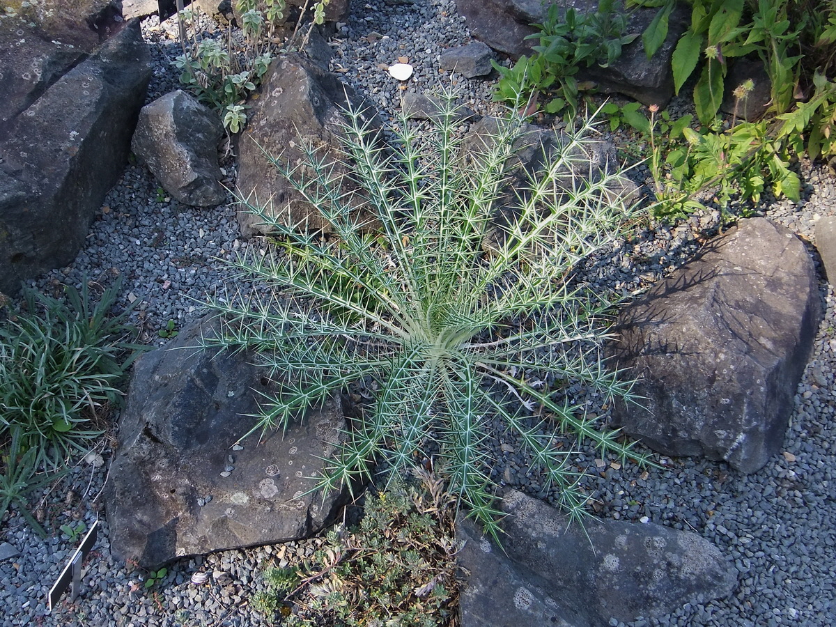 DSCF0540p_Bildgr��e �ndern