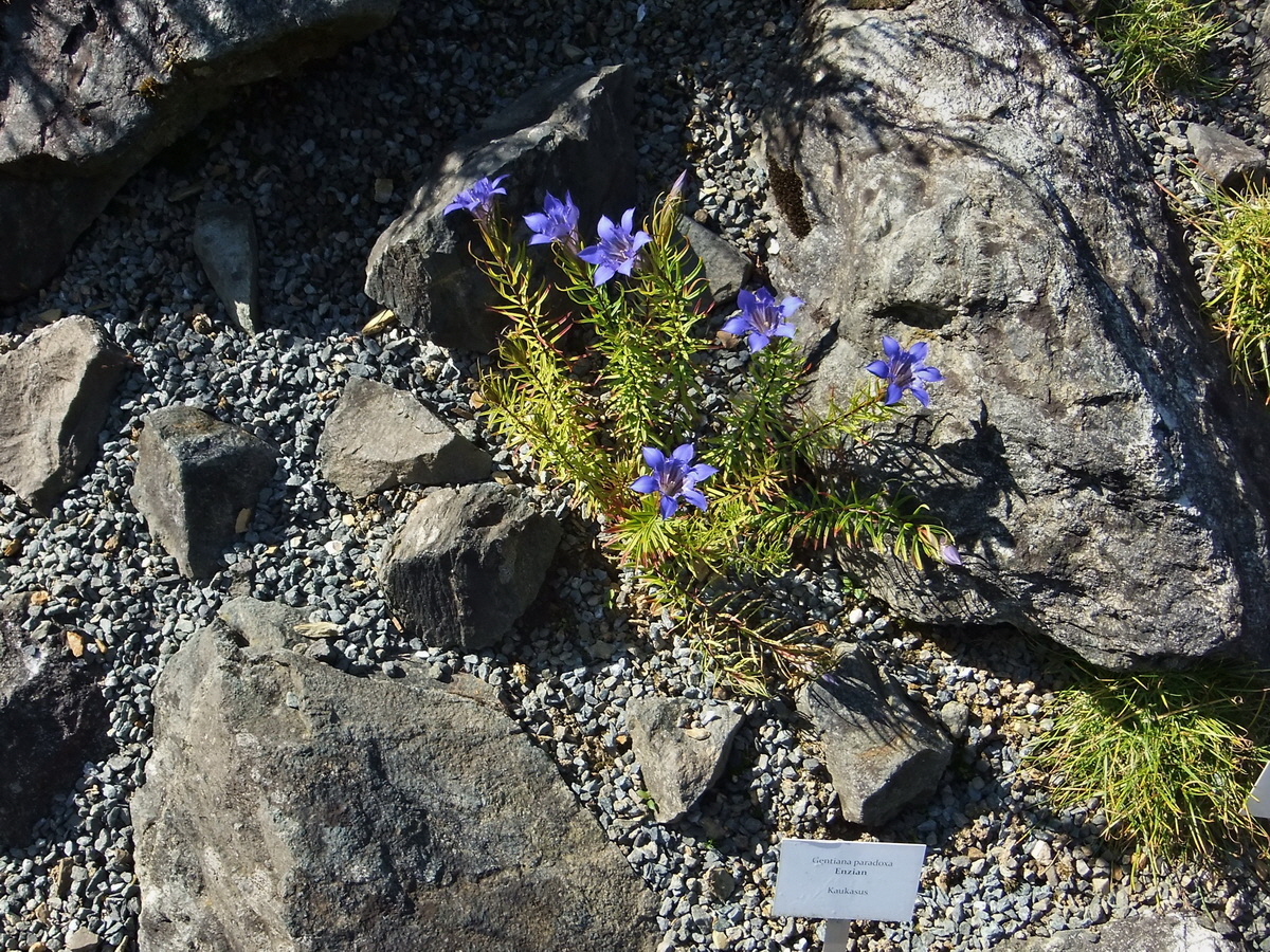 DSCF0545p_Bildgr��e �ndern