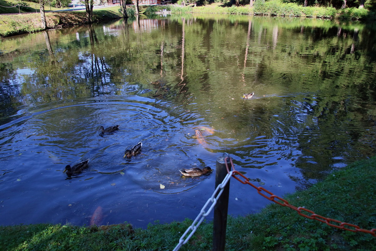 2016_09_08_027986p_Bildgr��e �ndern