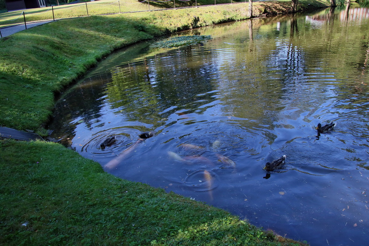 2016_09_08_027995p_Bildgr��e �ndern