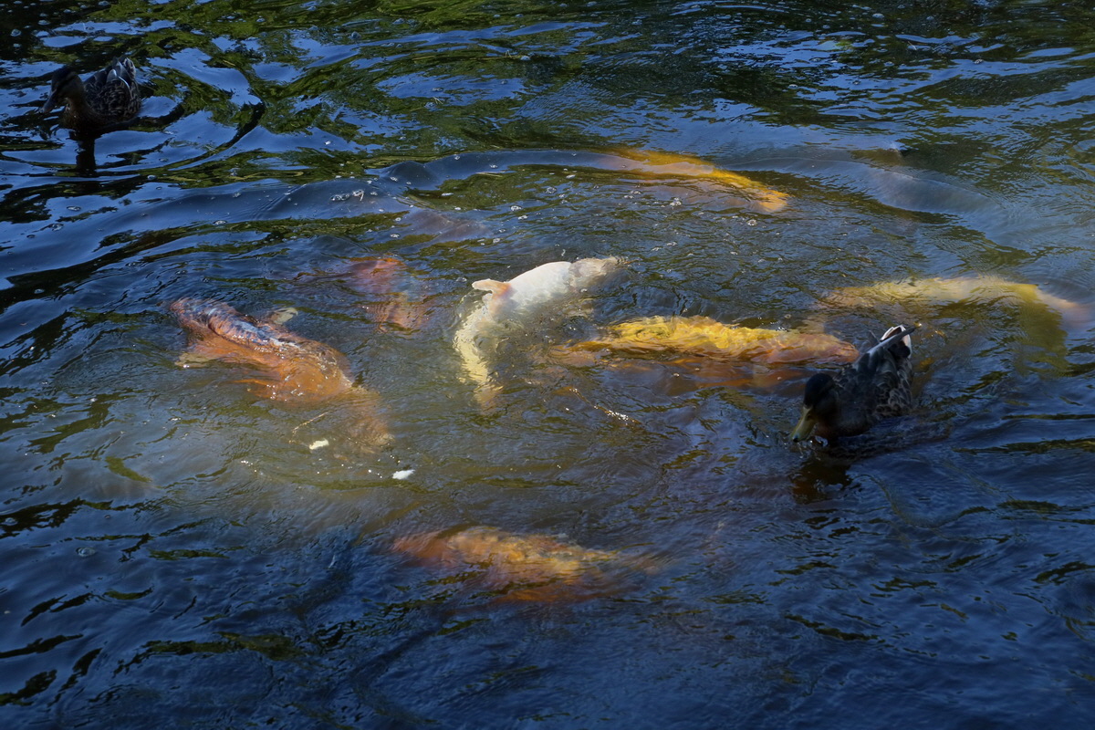 2016_09_08_028038p_Bildgr��e �ndern