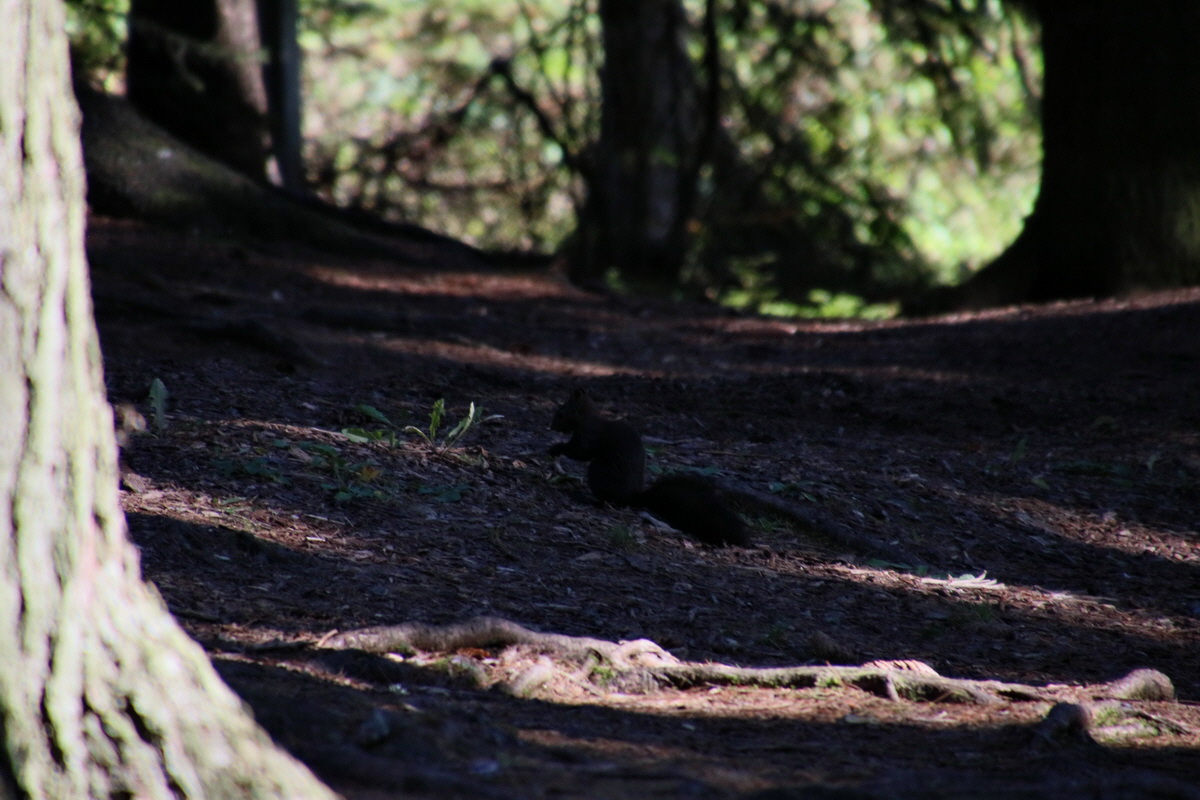 2016_09_08_028061p_Bildgr��e �ndern