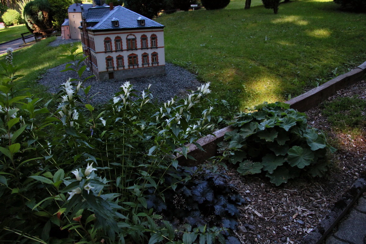 2016_09_08_028080p_Bildgr��e �ndern