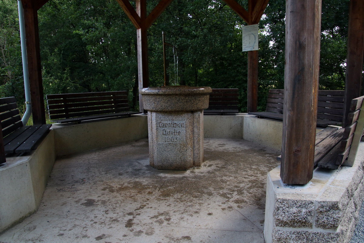 2016_09_09_028207p_Bildgr��e �ndern