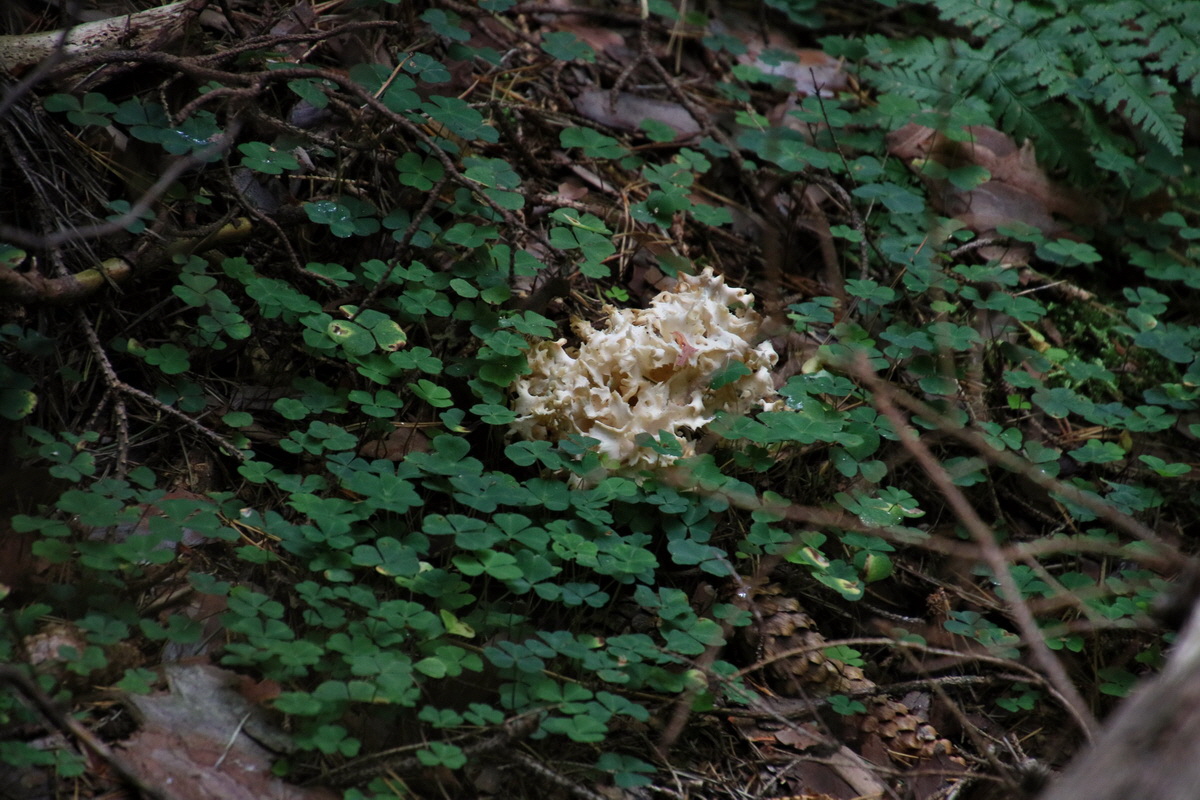 2016_09_10_028441p_Bildgr��e �ndern