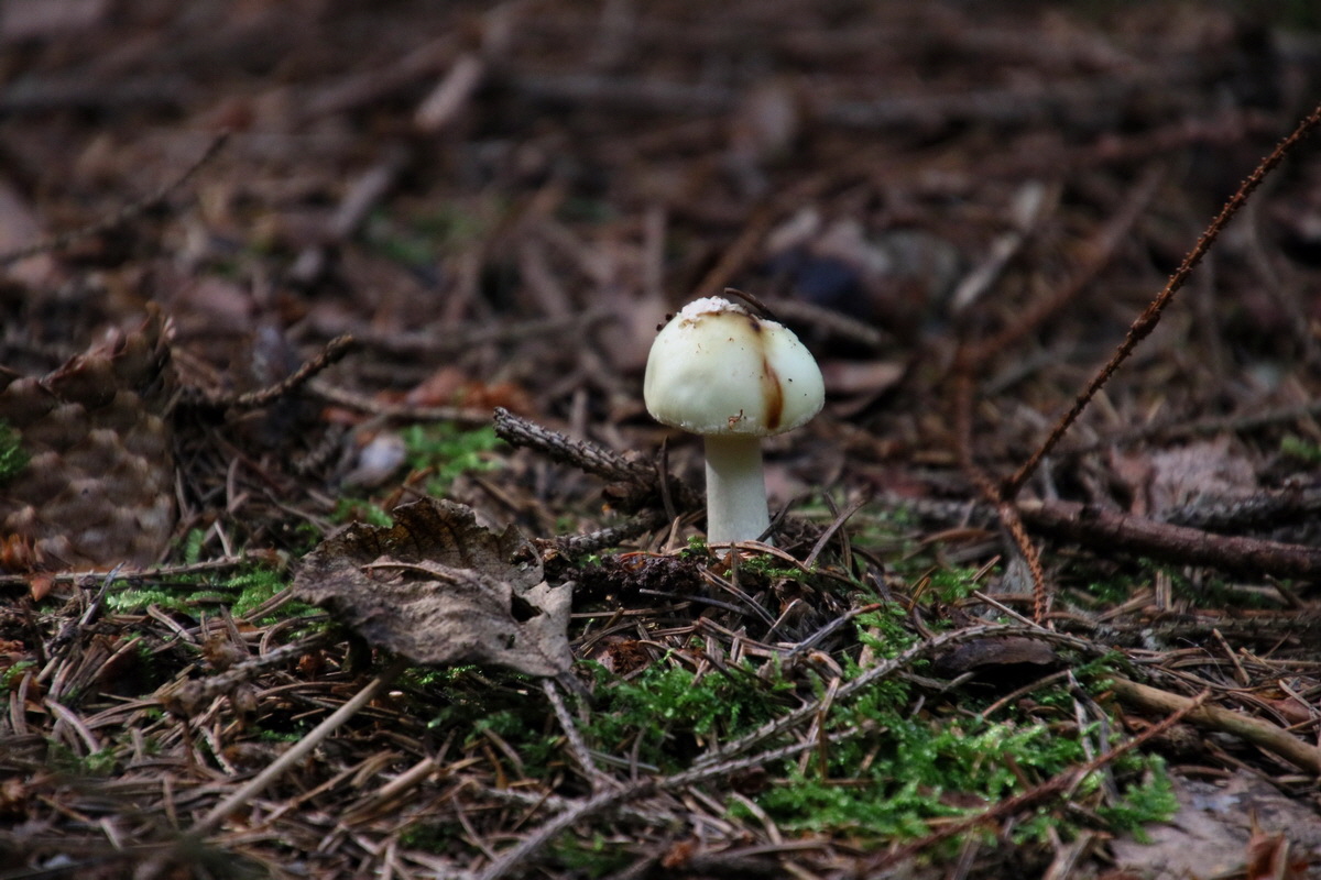 2016_09_10_028447p_Bildgr��e �ndern