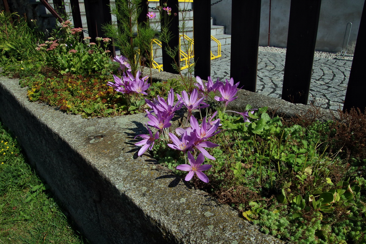 2016_09_11_028457p_Bildgr��e �ndern