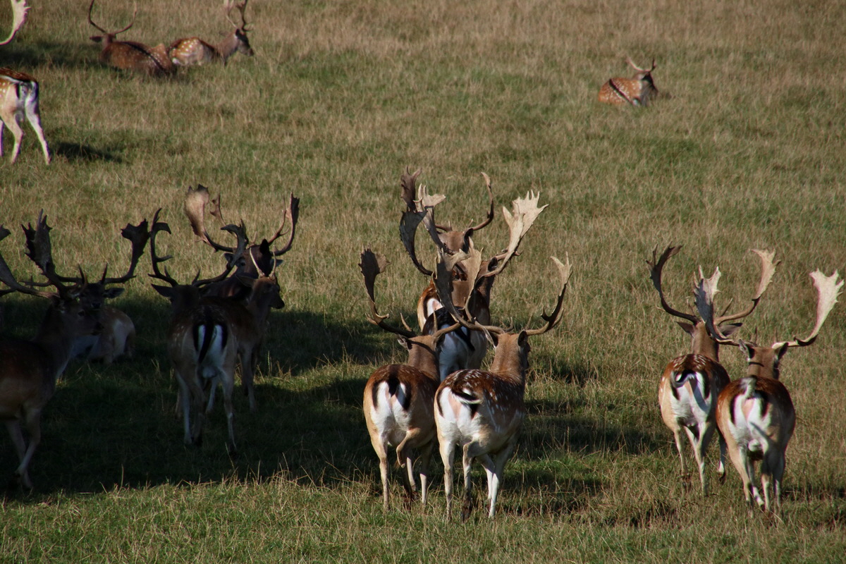 2016_09_12_028567p_Bildgr��e �ndern