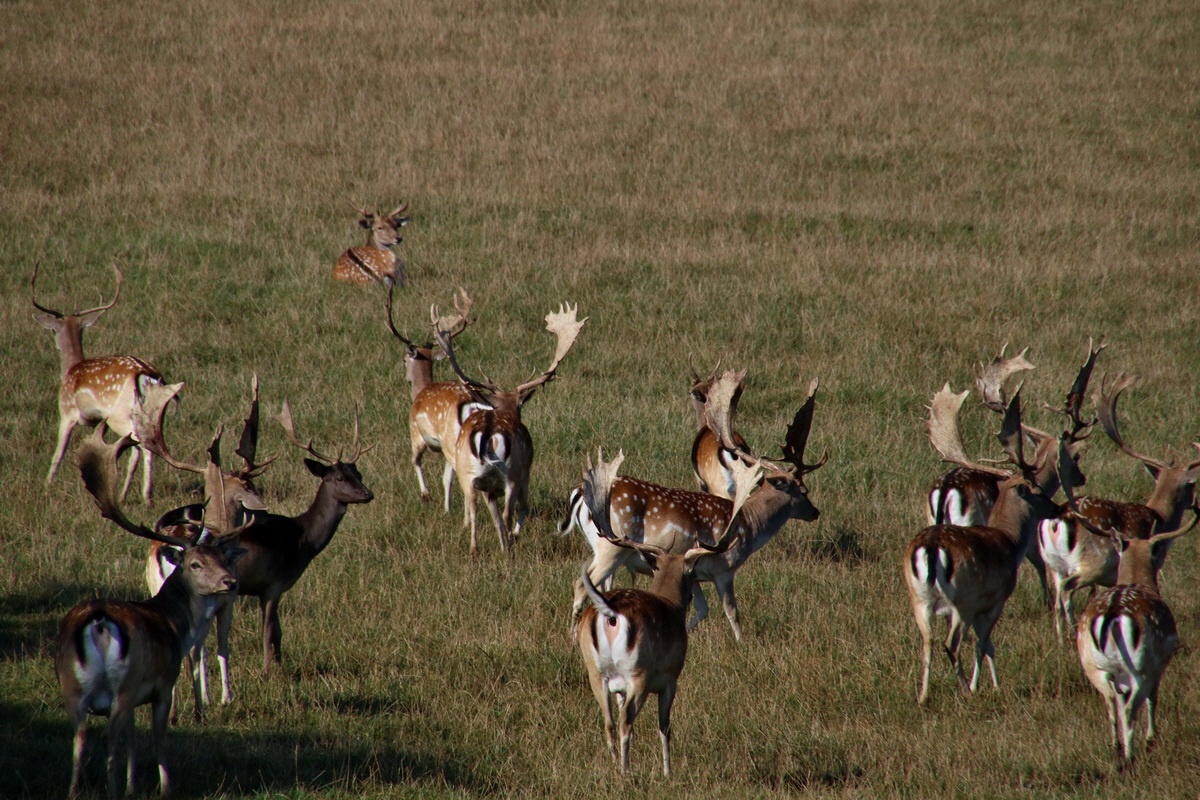 2016_09_12_028571p_Bildgr��e �ndern