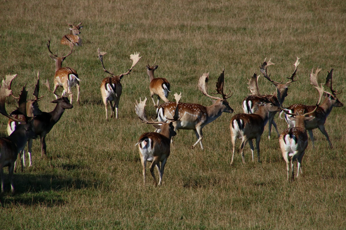 2016_09_12_028573p_Bildgr��e �ndern