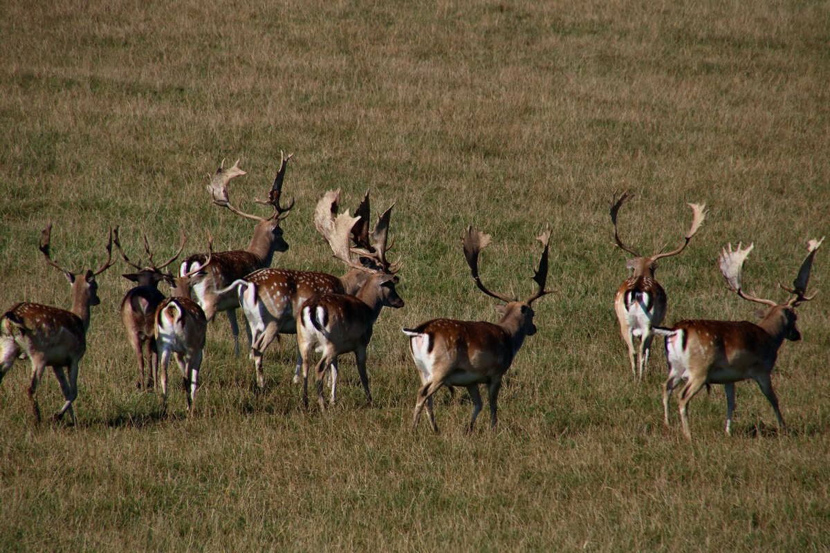 2016_09_12_028577p_Bildgr��e �ndern