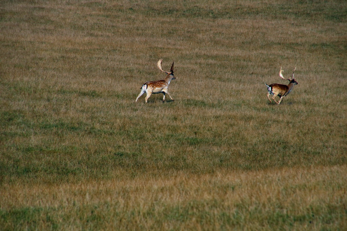 2016_09_12_028582p_Bildgr��e �ndern