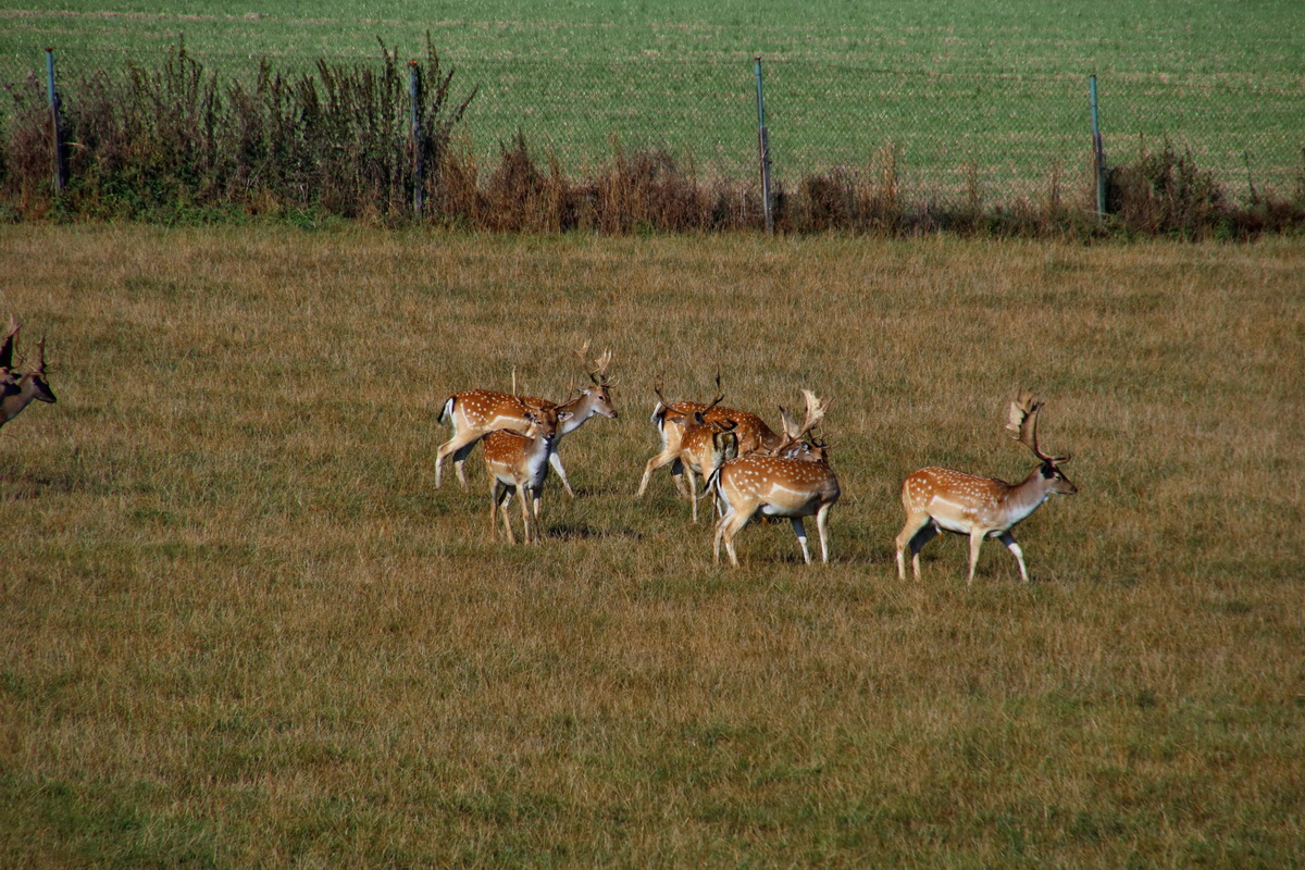 2016_09_12_028590p_Bildgr��e �ndern