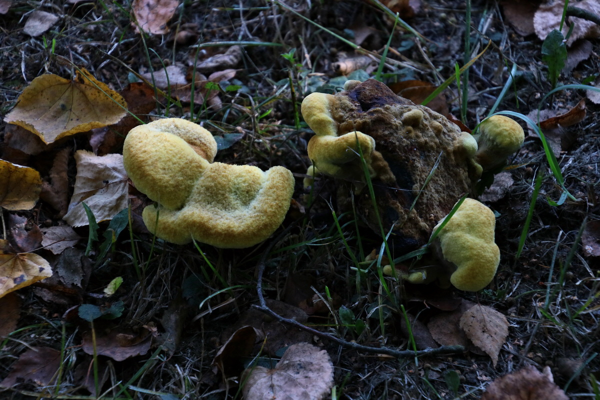 2016_09_12_028598p_Bildgr��e �ndern