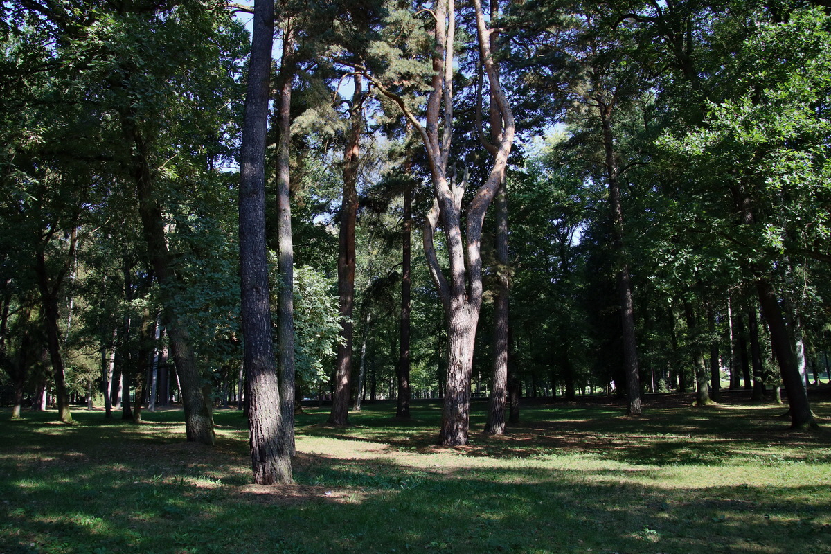 2016_09_12_028602p_Bildgr��e �ndern