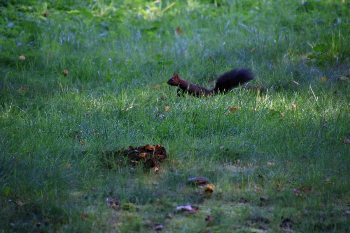 2016_09_12_028608p_Bildgr��e �ndern