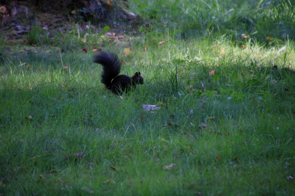 2016_09_12_028616p_Bildgr��e �ndern