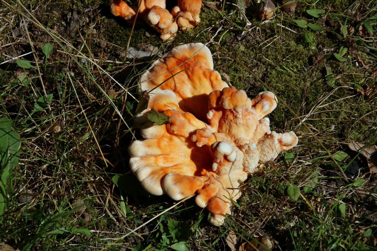 2016_09_12_028634p_Bildgr��e �ndern