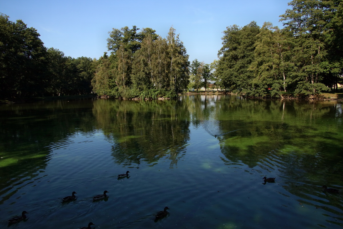 2016_09_12_028637p_Bildgr��e �ndern