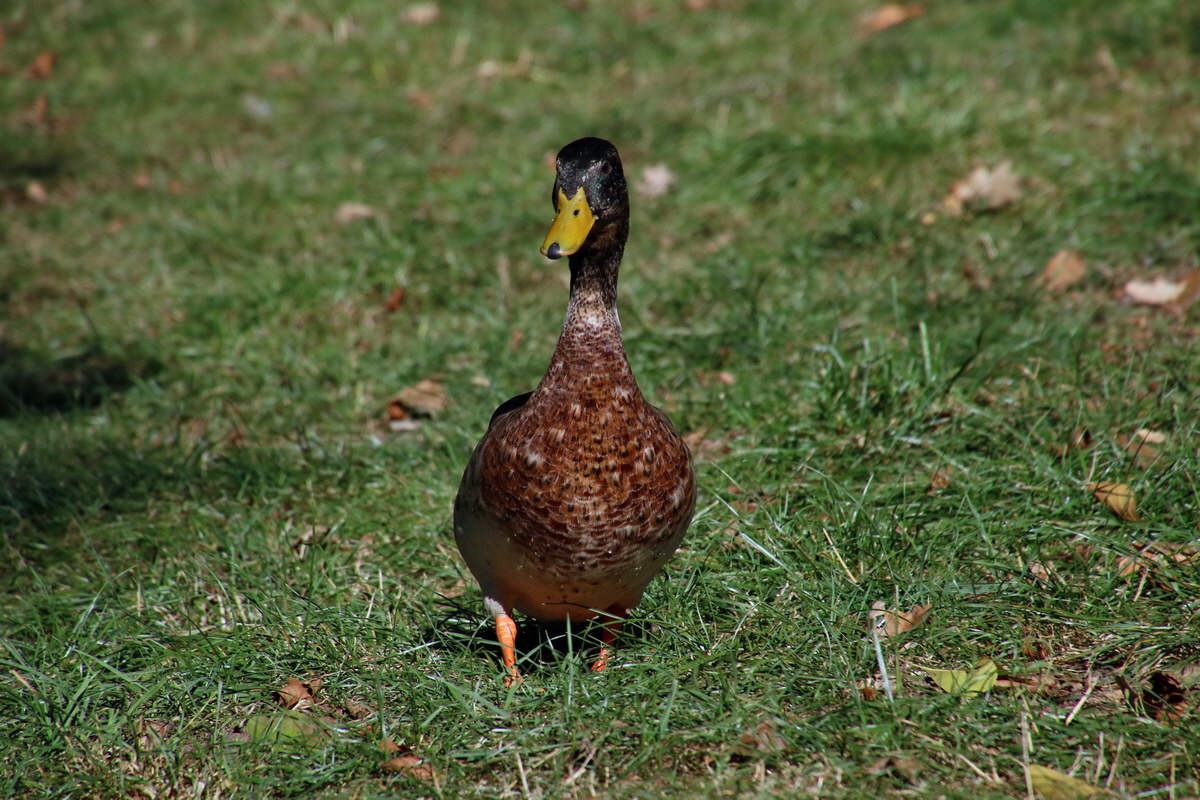 2016_09_12_028649p_Bildgr��e �ndern