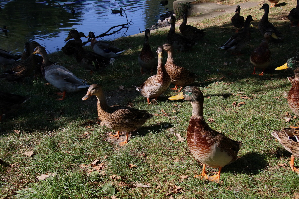 2016_09_12_028657p_Bildgr��e �ndern