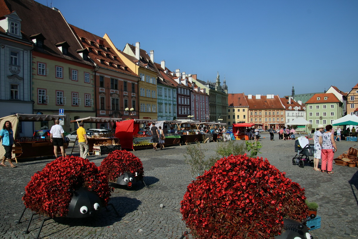 2016_09_14_029198p_Bildgr��e �ndern