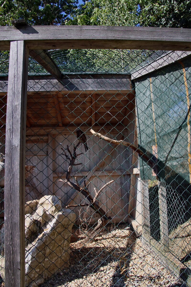 2016_09_15_029406p_Bildgr��e �ndern