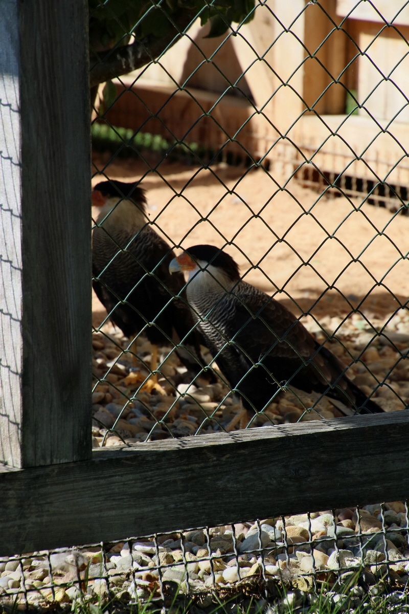 2016_09_15_029410p_Bildgr��e �ndern