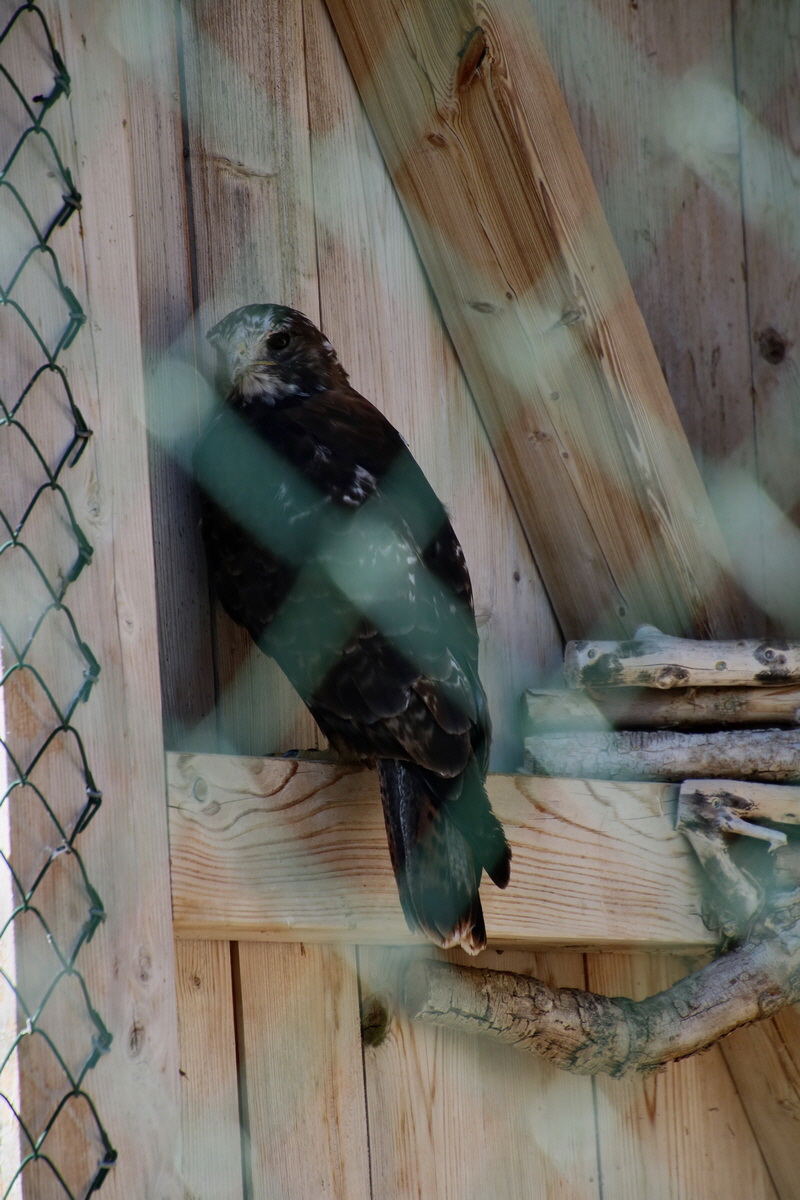 2016_09_15_029414p_Bildgr��e �ndern