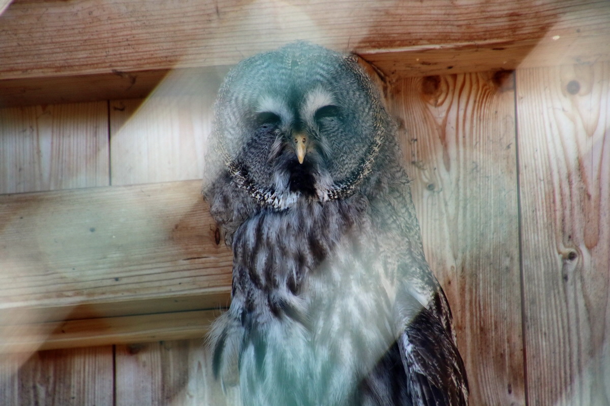 2016_09_15_029423p_Bildgr��e �ndern