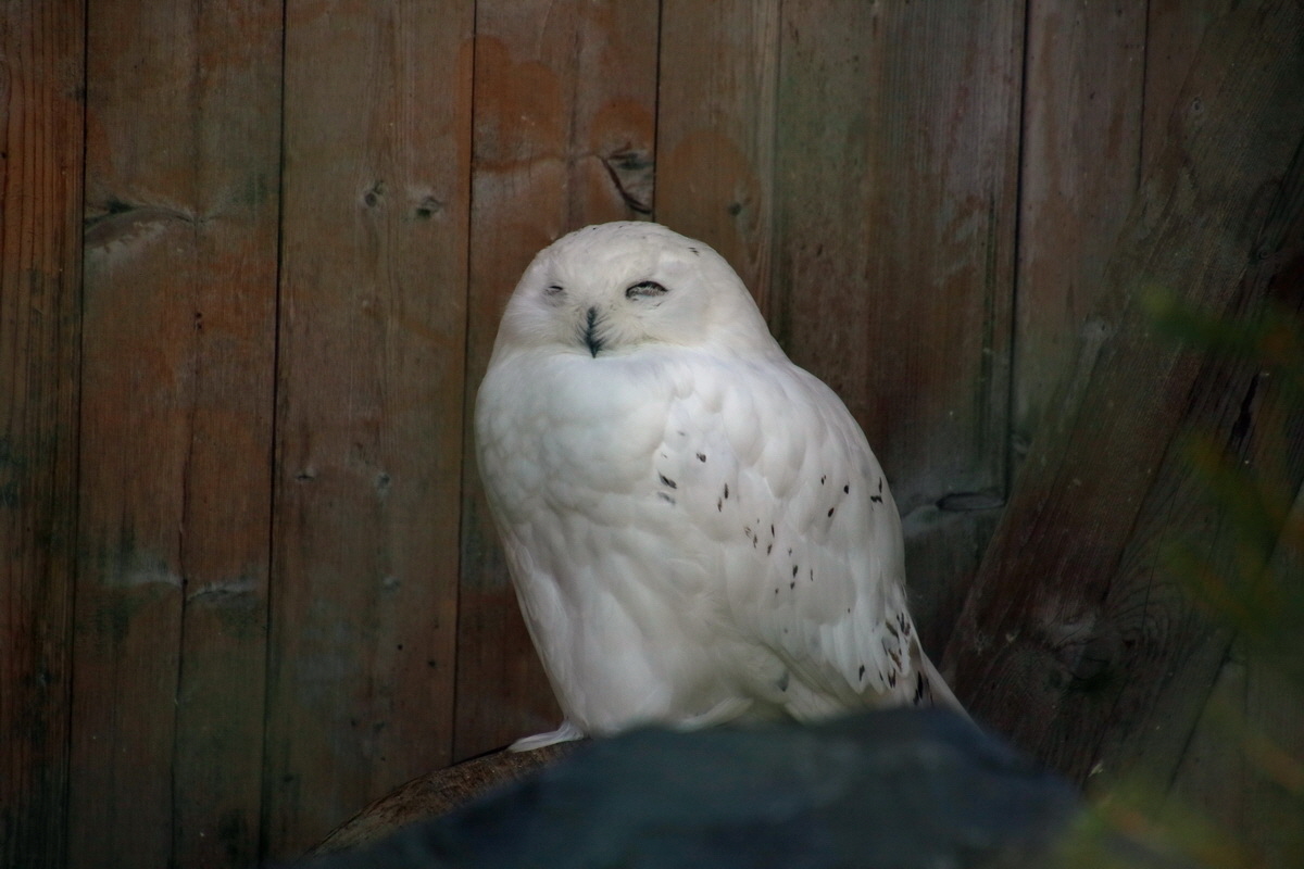 2016_09_15_029425p_Bildgr��e �ndern