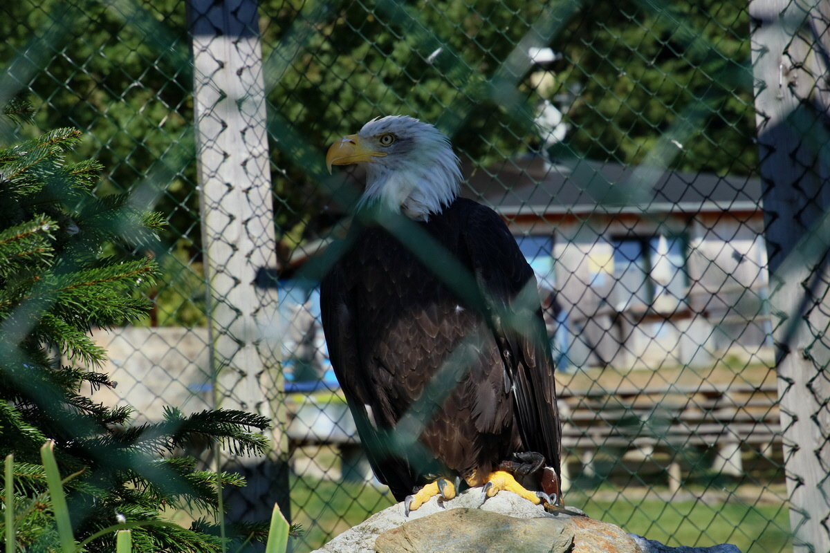 2016_09_15_029432p_Bildgr��e �ndern