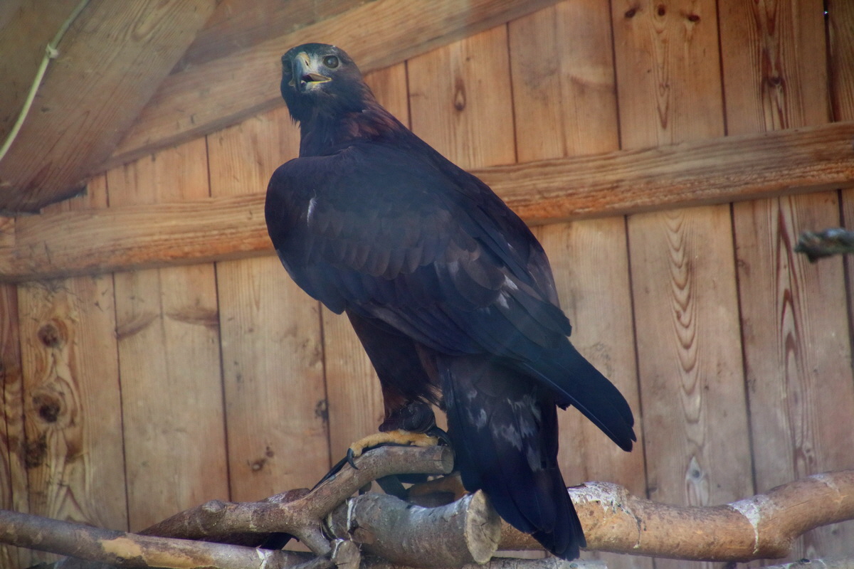 2016_09_15_029436p_Bildgr��e �ndern