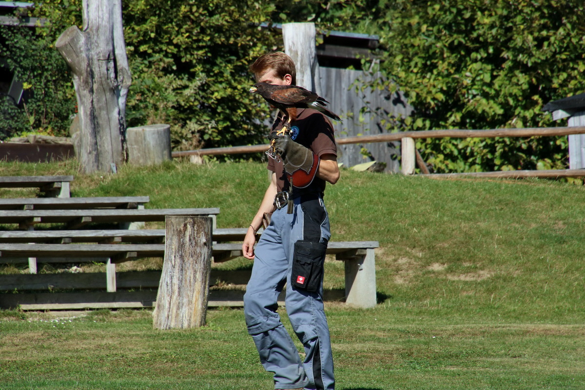 2016_09_15_029451p_Bildgr��e �ndern