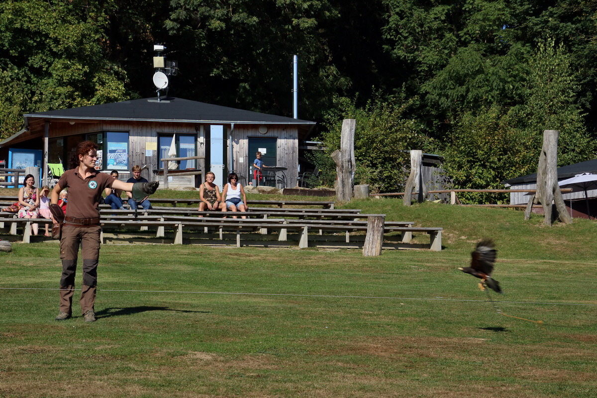 2016_09_15_029485p_Bildgr��e �ndern