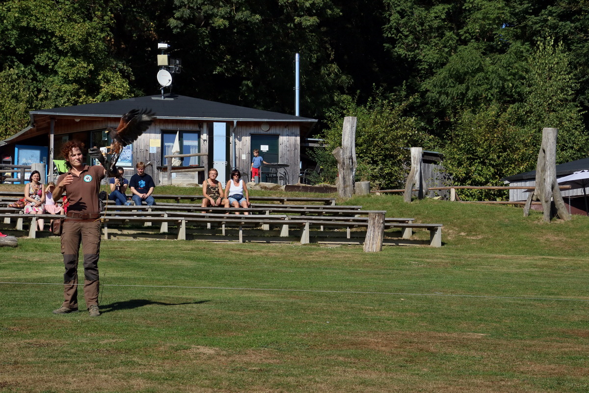 2016_09_15_029488p_Bildgr��e �ndern