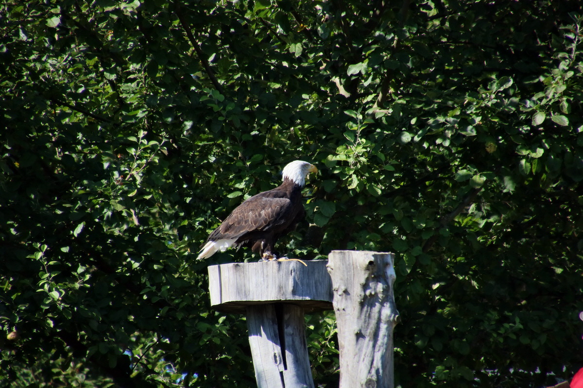 2016_09_15_029512p_Bildgr��e �ndern