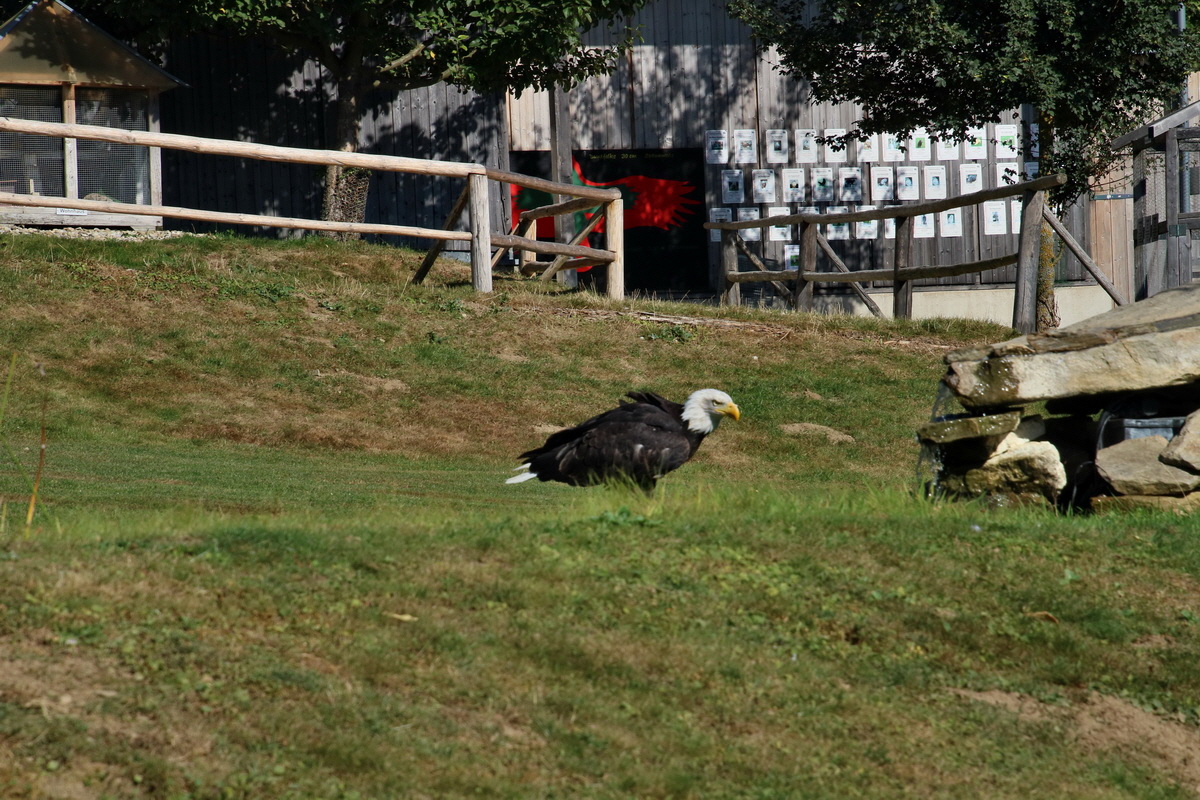 2016_09_15_029513p_Bildgr��e �ndern