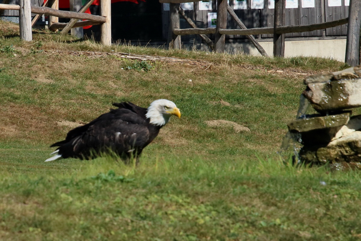 2016_09_15_029514ap_Bildgr��e �ndern