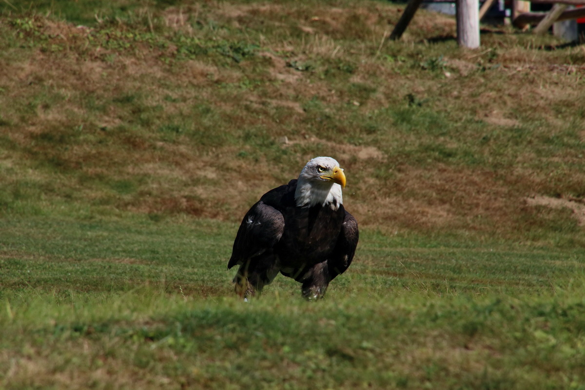 2016_09_15_029521p_Bildgr��e �ndern