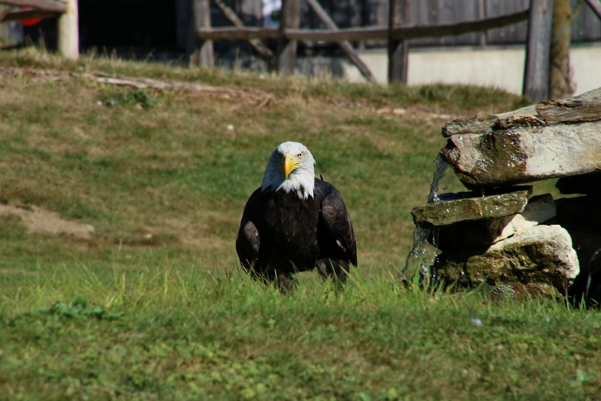 2016_09_15_029525p_Bildgr��e �ndern