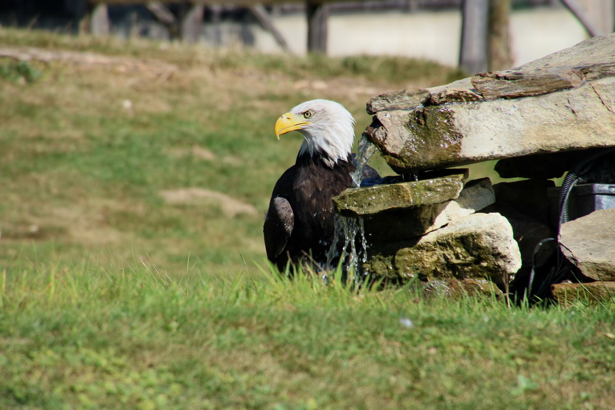 2016_09_15_029530p_Bildgr��e �ndern