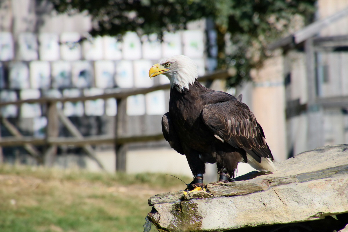 2016_09_15_029536p_Bildgr��e �ndern