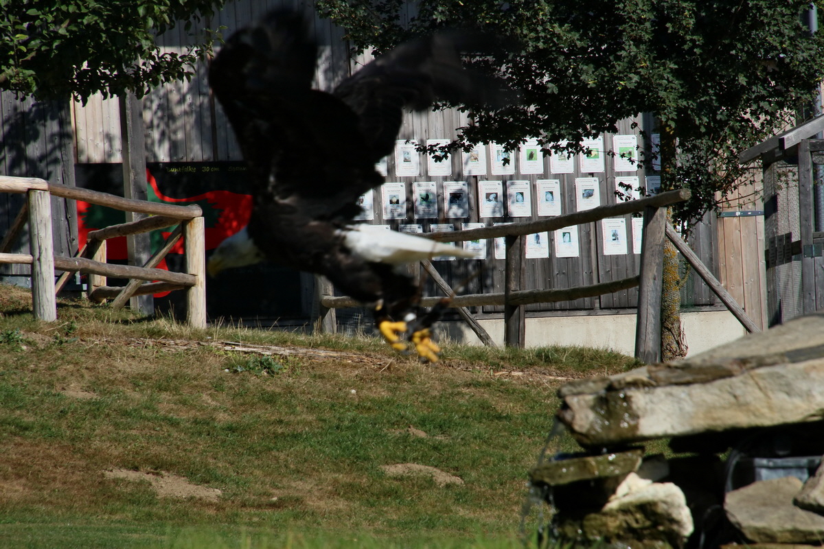 2016_09_15_029539p_Bildgr��e �ndern