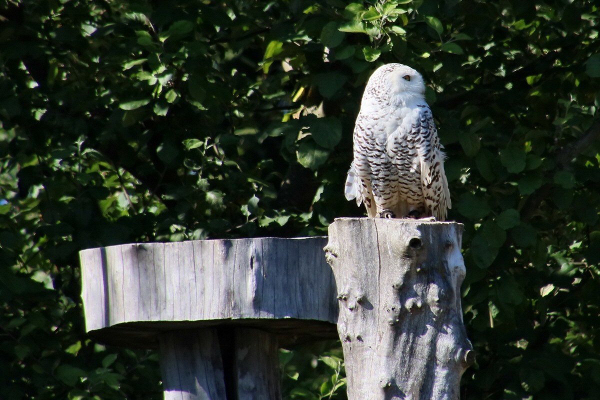 2016_09_15_029577ap_Bildgr��e �ndern