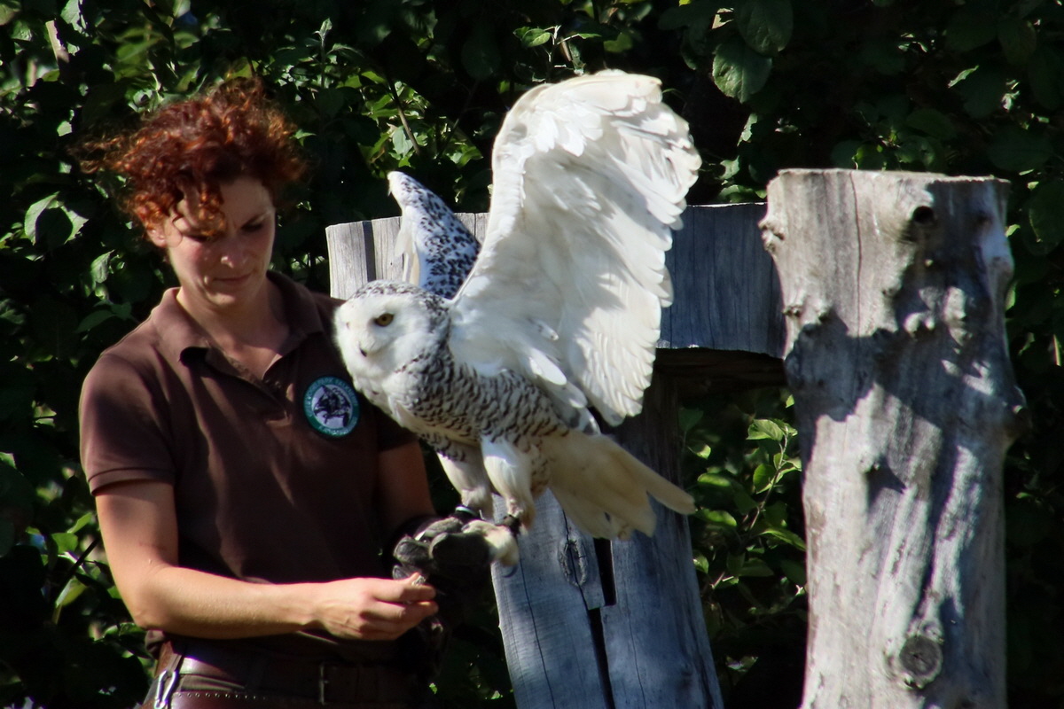 2016_09_15_029582ap_Bildgr��e �ndern