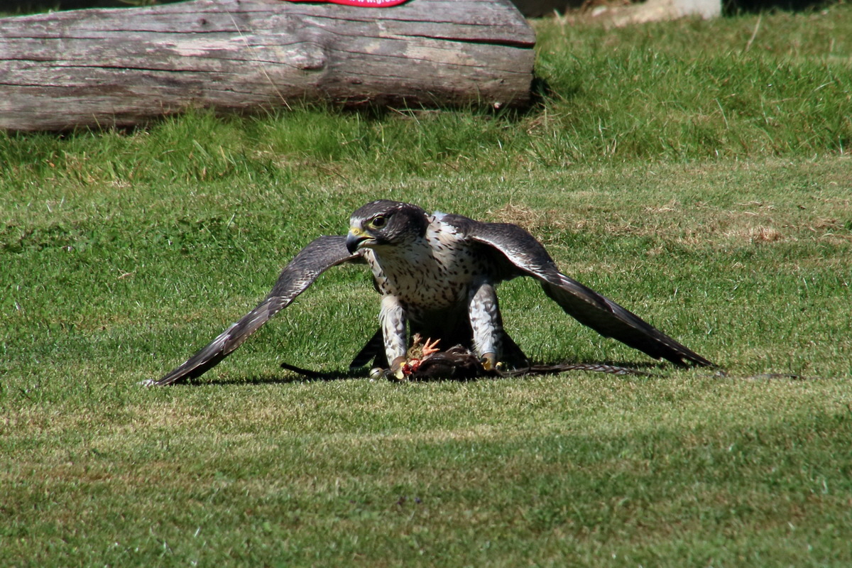 2016_09_15_029650ap_Bildgr��e �ndern