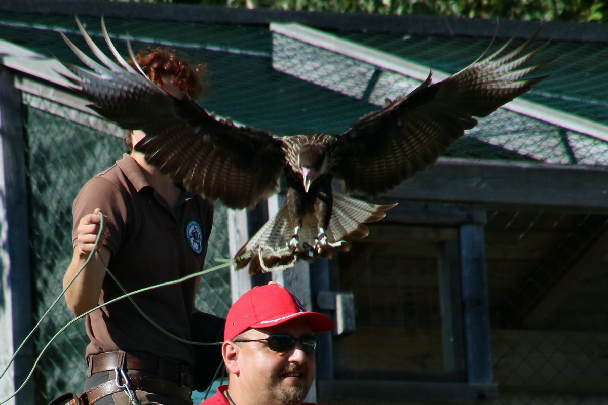 2016_09_15_029727ap_Bildgr��e �ndern